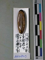 藏品(鳳凰木子毫芒雕刻)的圖片